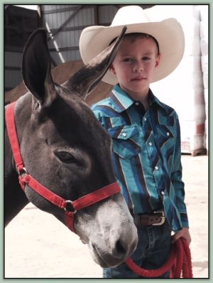 Caleb Parkhurst from Appalachain Farmstead, Champion High Point Pee Wee Youth in Tennessee!